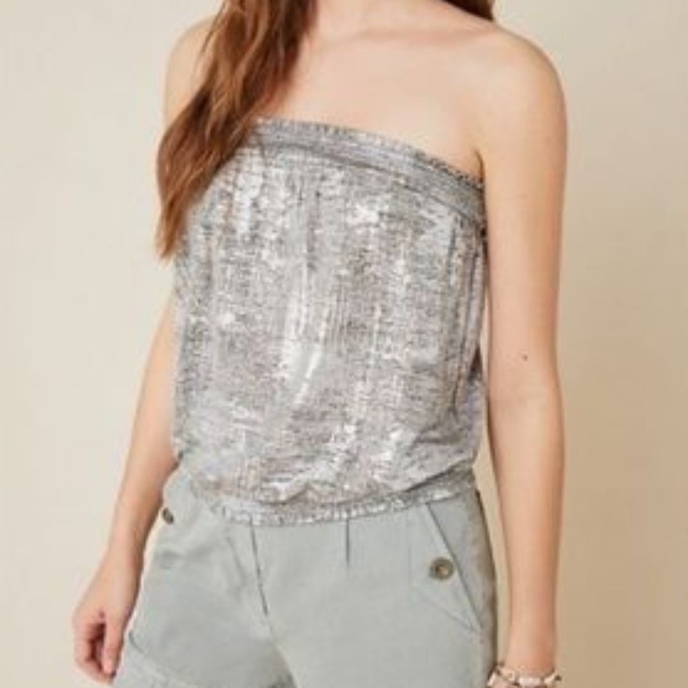 Silver Shimmer Shine  - Anthropologie Tube Top - Picture 9 of 9